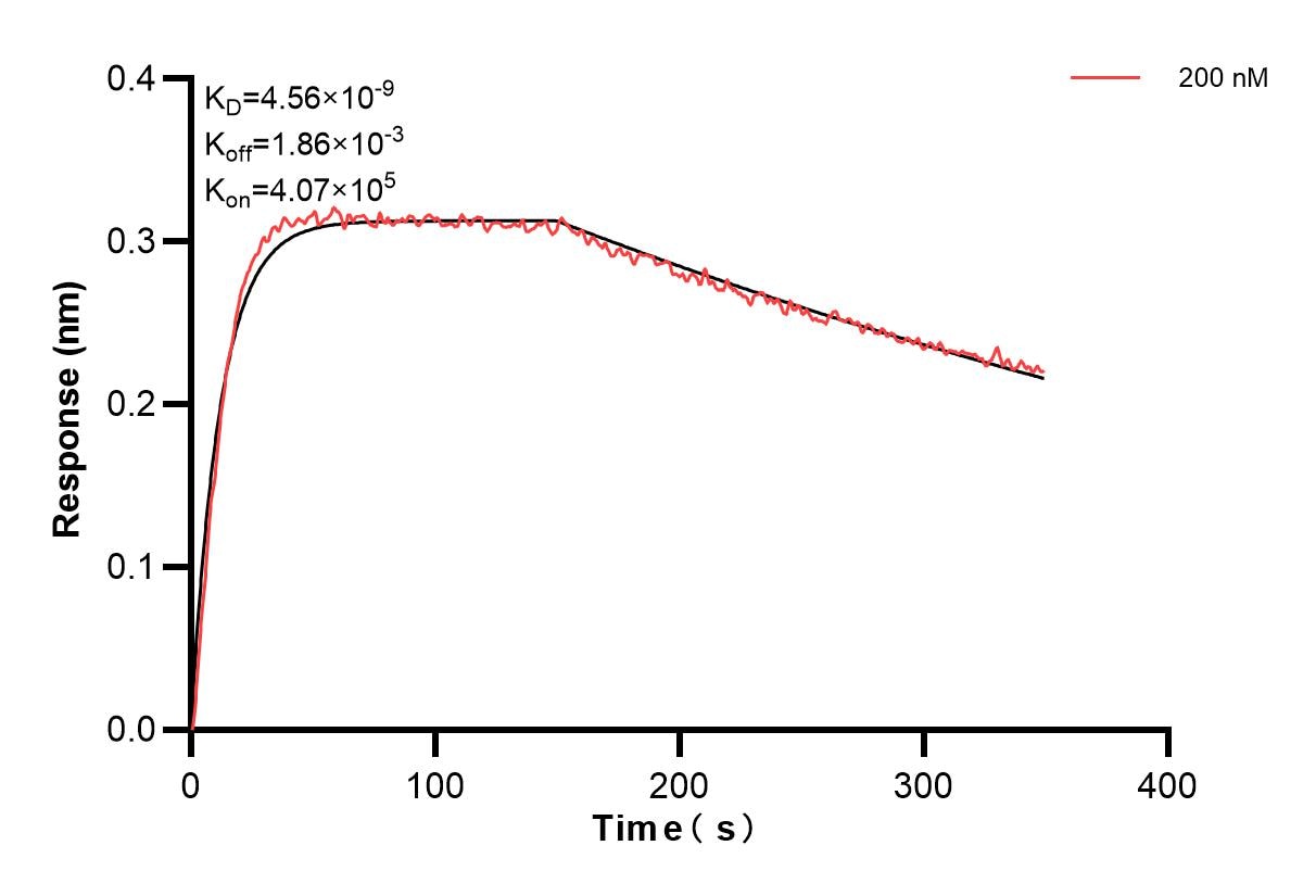 Affinity and Kinetic Characterization of 83558-1-PBS