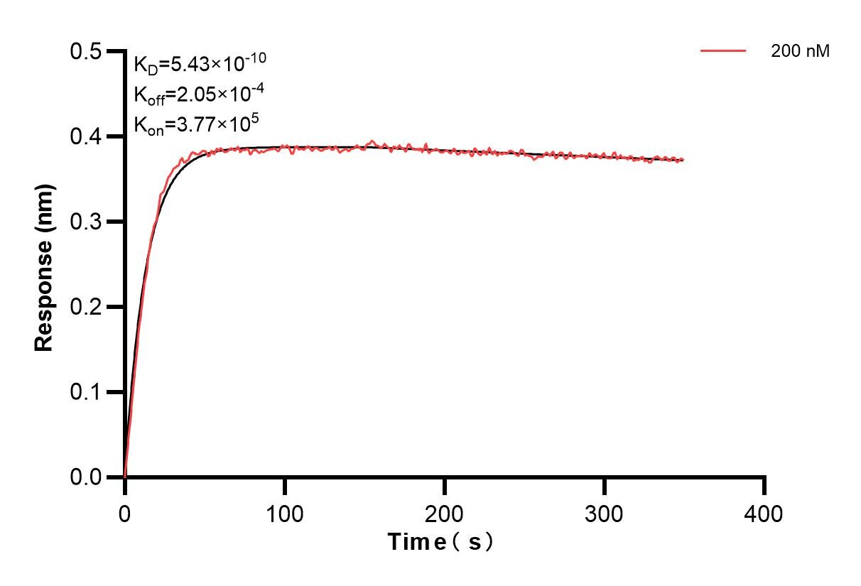 Affinity and Kinetic Characterization of 83558-2-PBS