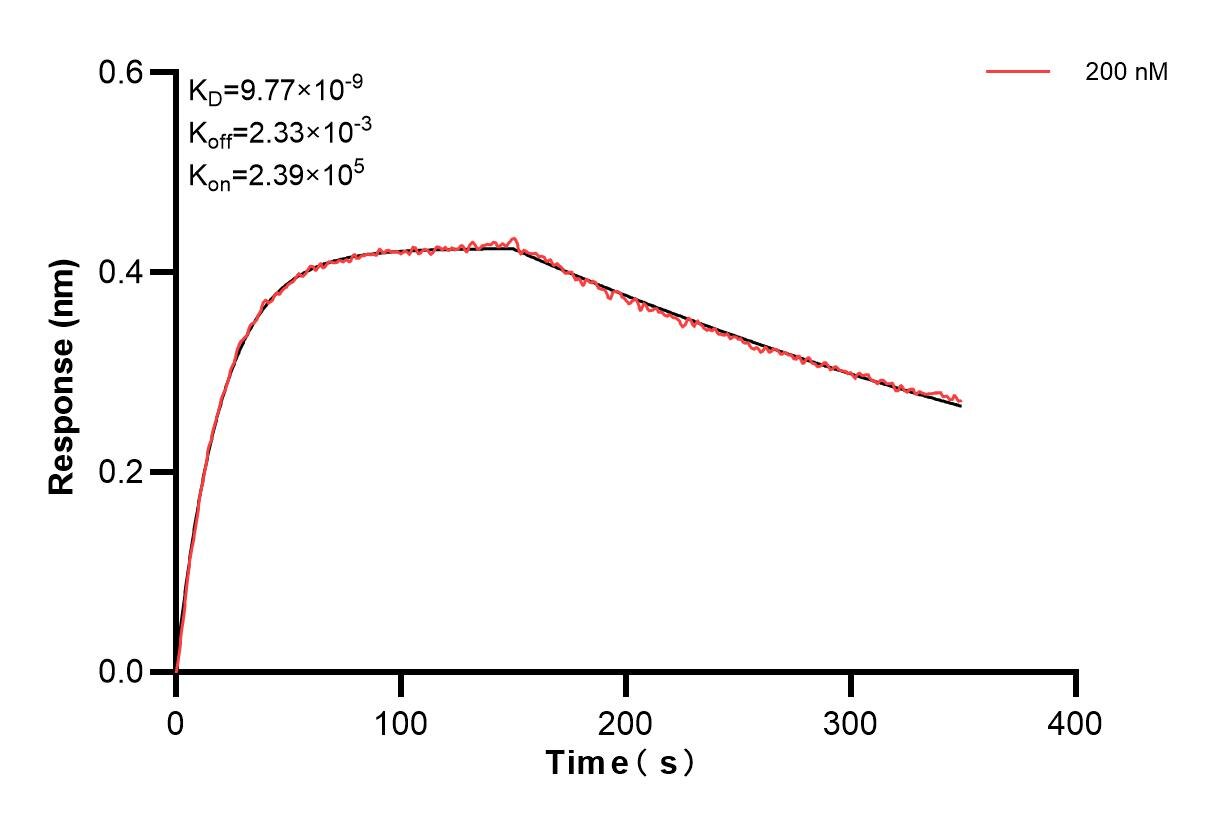 Affinity and Kinetic Characterization of 83558-3-PBS