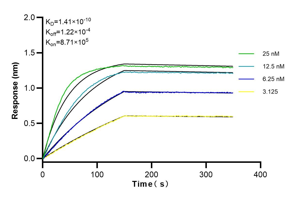 Affinity and Kinetic Characterization of 83570-4-RR