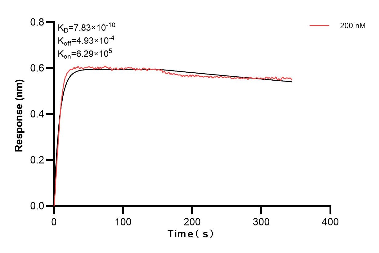Affinity and Kinetic Characterization of 83572-1-PBS
