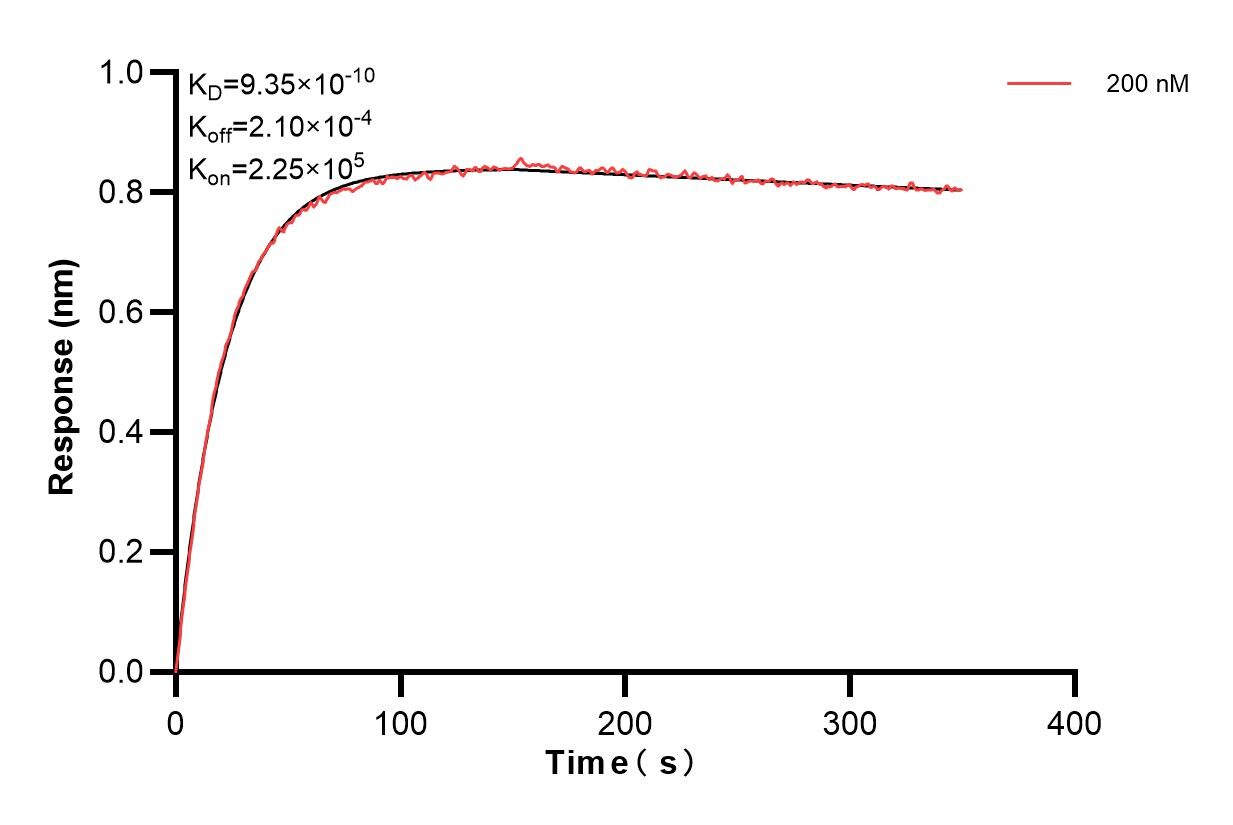 Affinity and Kinetic Characterization of 83576-1-PBS