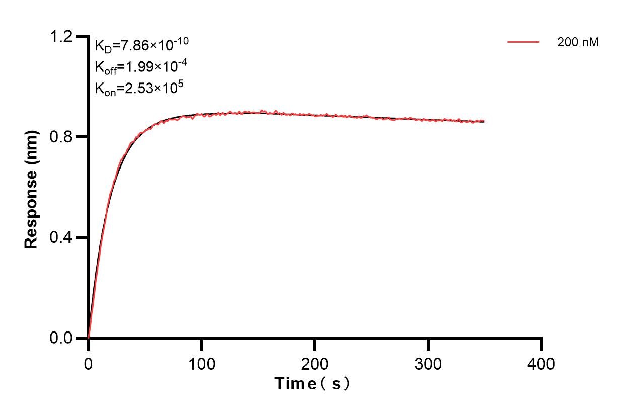 Biolayer interferometry (BLl) kinetic assays of 83576-3-PBS against Human HBQ1 were performed. The affinity constant is 0.786 nM. Affinity and Kinetic Characterization of 83576-3-PBS