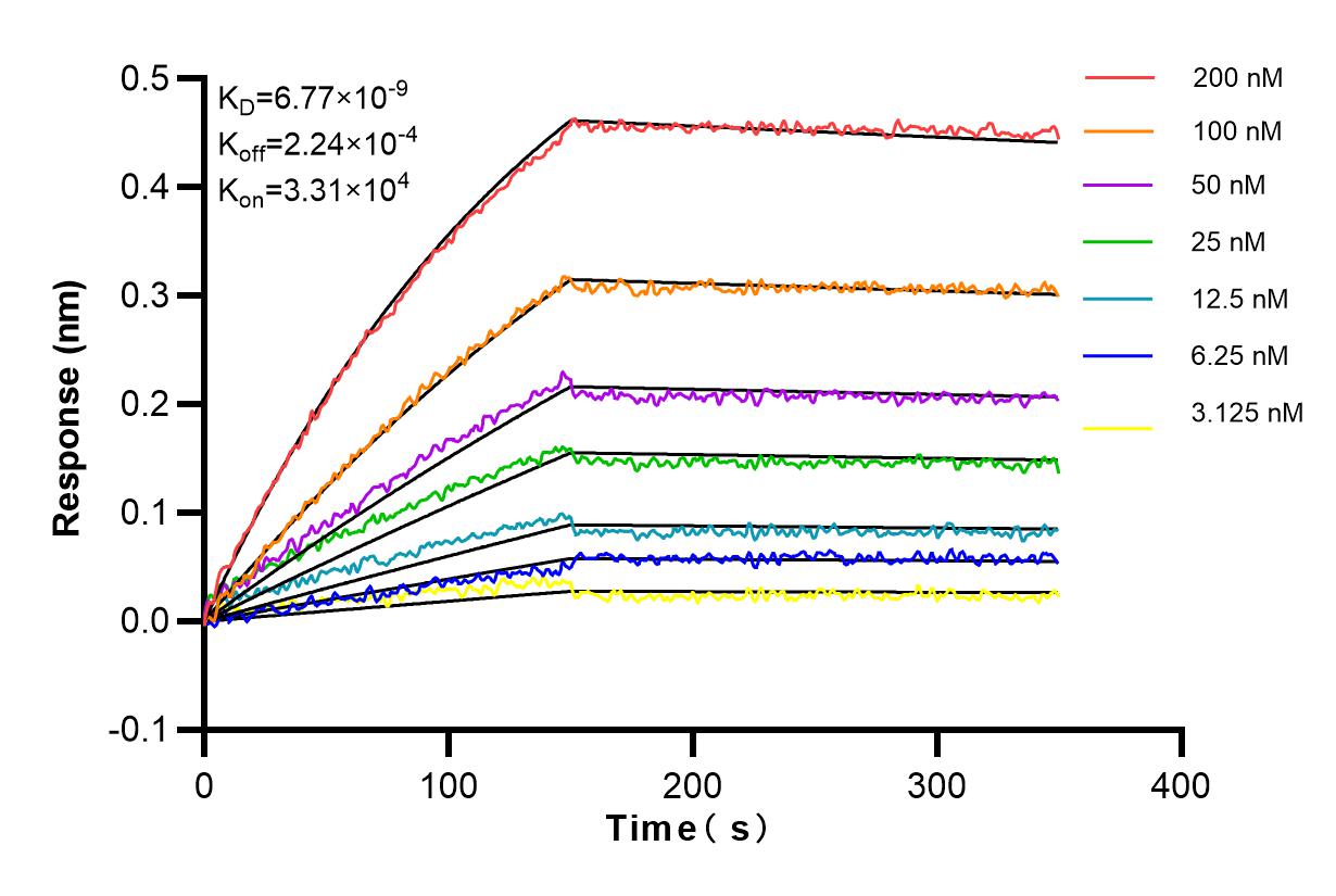 Affinity and Kinetic Characterization of 83584-3-RR