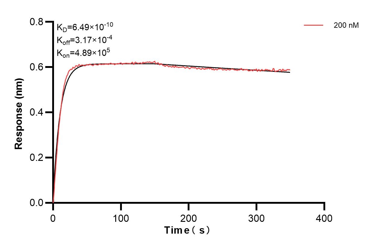 Affinity and Kinetic Characterization of 83593-4-PBS