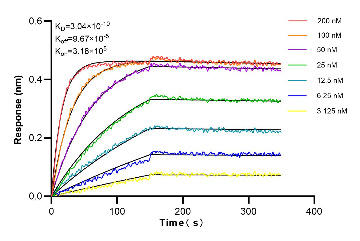 Affinity and Kinetic Characterization of 83593-5-RR