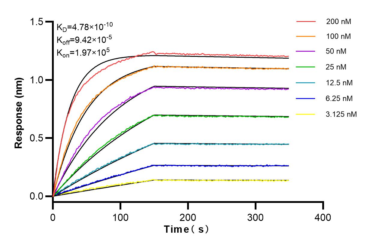 Affinity and Kinetic Characterization of 83596-4-RR
