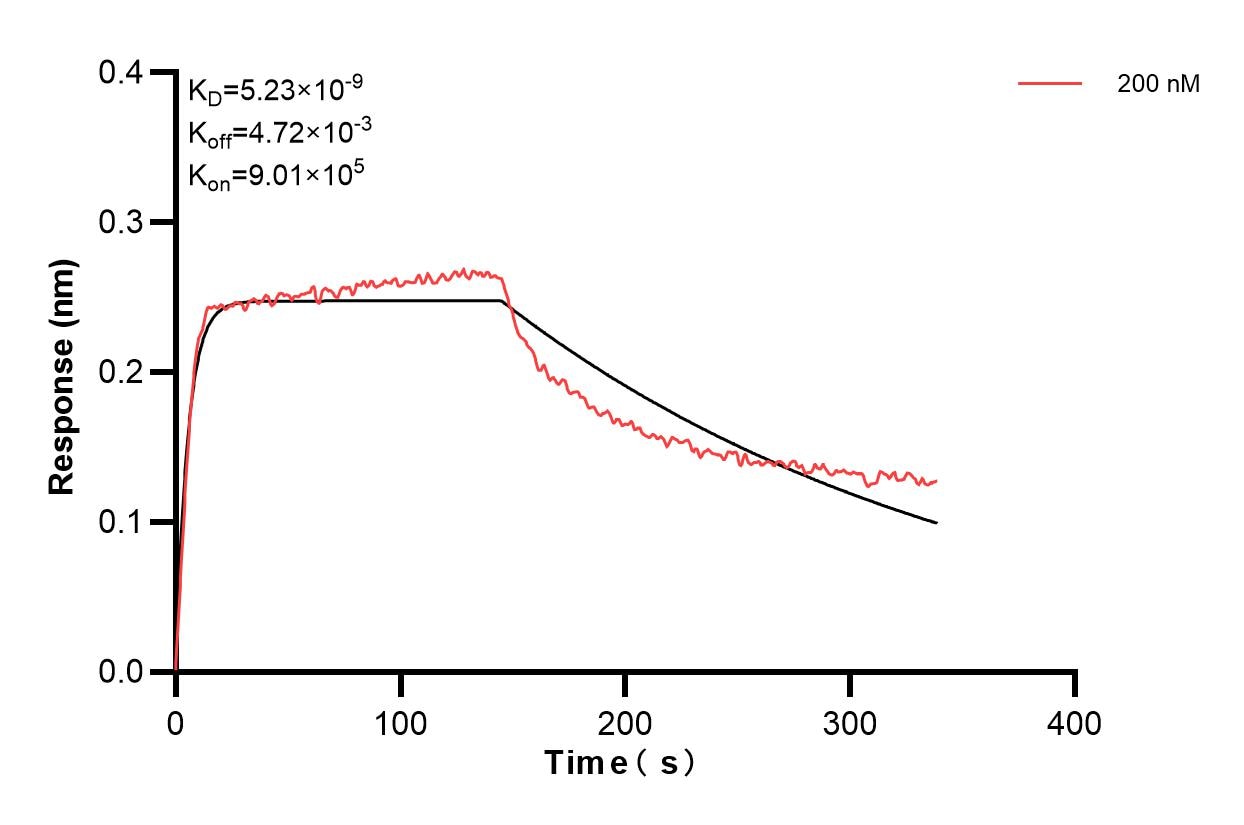 Affinity and Kinetic Characterization of 83605-1-PBS