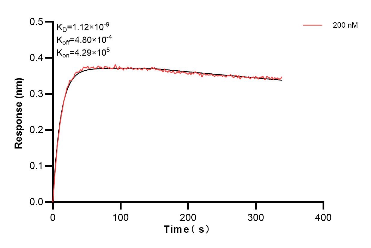 Affinity and Kinetic Characterization of 83605-2-PBS