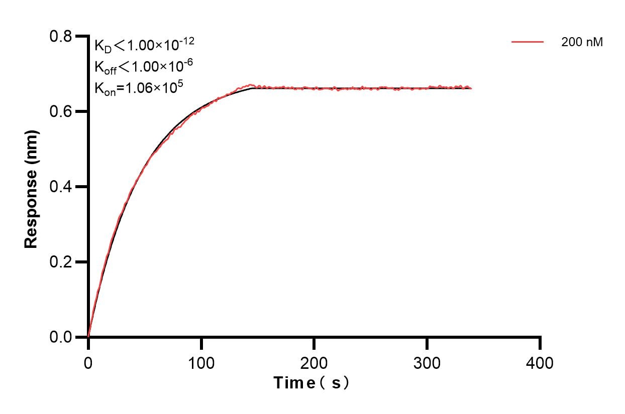 Affinity and Kinetic Characterization of 83605-5-PBS