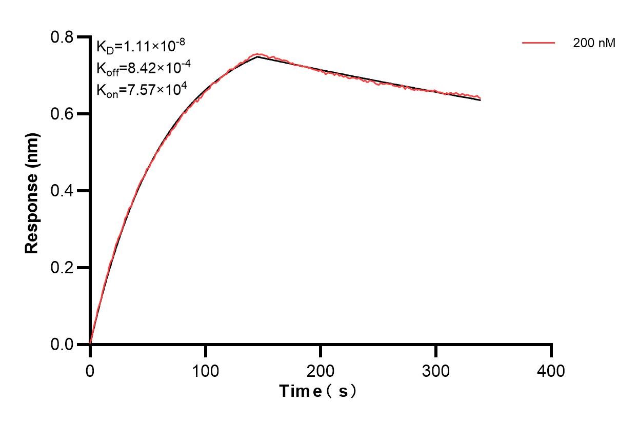Affinity and Kinetic Characterization of 83606-3-PBS