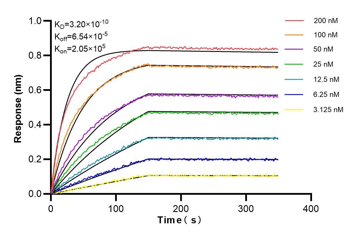 Affinity and Kinetic Characterization of 83609-1-PBS