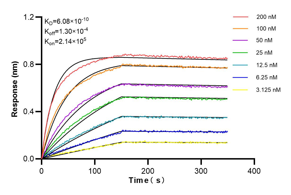 Affinity and Kinetic Characterization of 83609-2-PBS