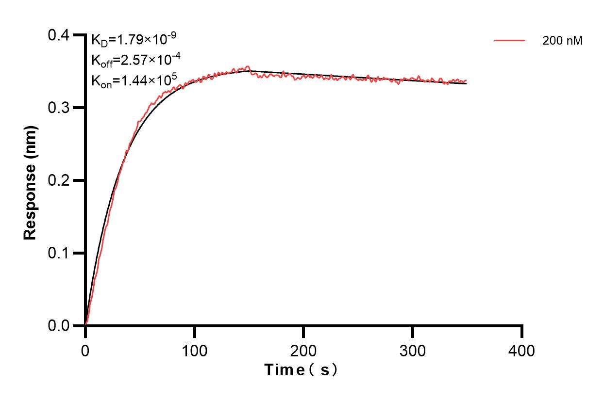 Affinity and Kinetic Characterization of 83620-3-PBS