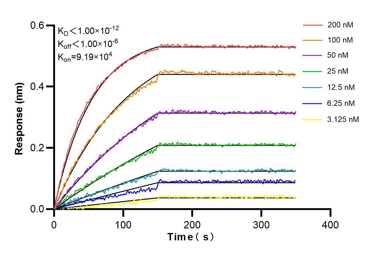 Affinity and Kinetic Characterization of 83631-2-RR Affinity and Kinetic Characterization of 83631-2-RR