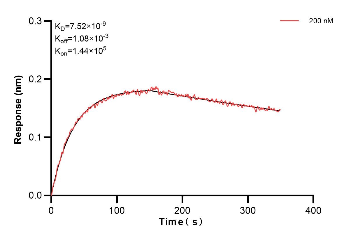 Affinity and Kinetic Characterization of 83632-4-PBS