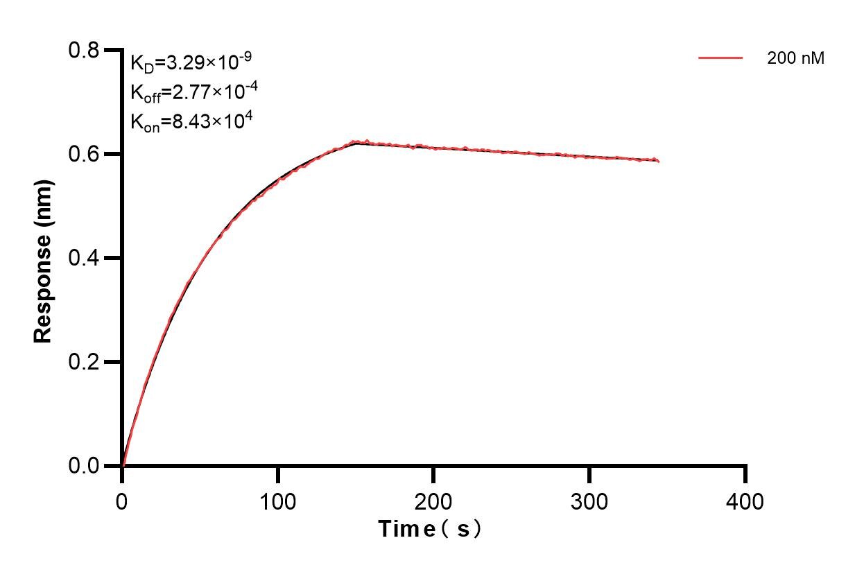 Biolayer interferometry (BLl) kinetic assay of 83639-1-PBS against Human IFT20 was performed. The affinity constant is 3.29 nM. Affinity and Kinetic Characterization of 83639-1-PBS