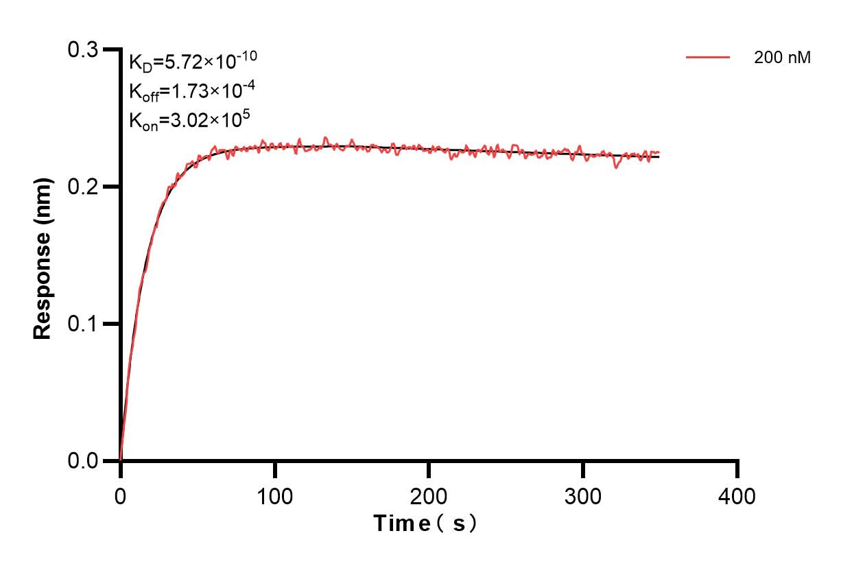 Affinity and Kinetic Characterization of 83642-1-PBS