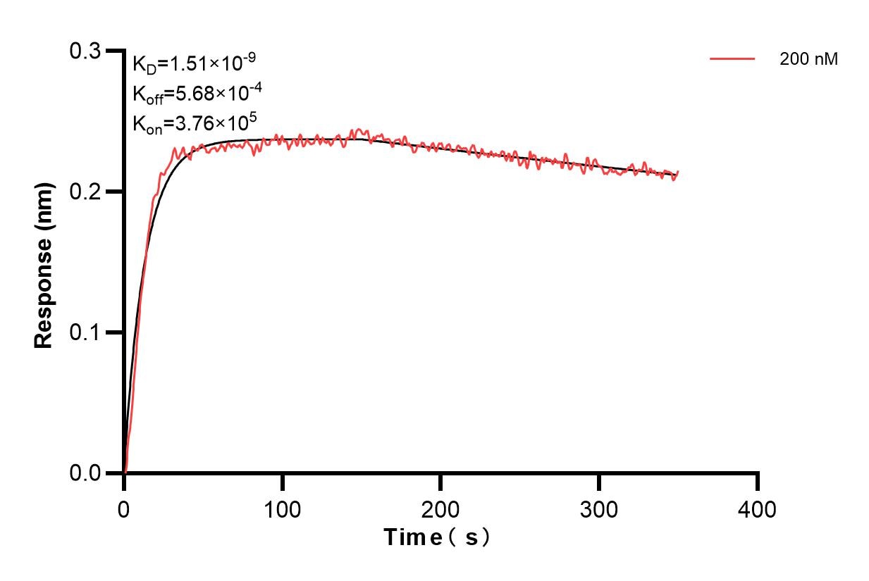 Affinity and Kinetic Characterization of 83642-2-PBS