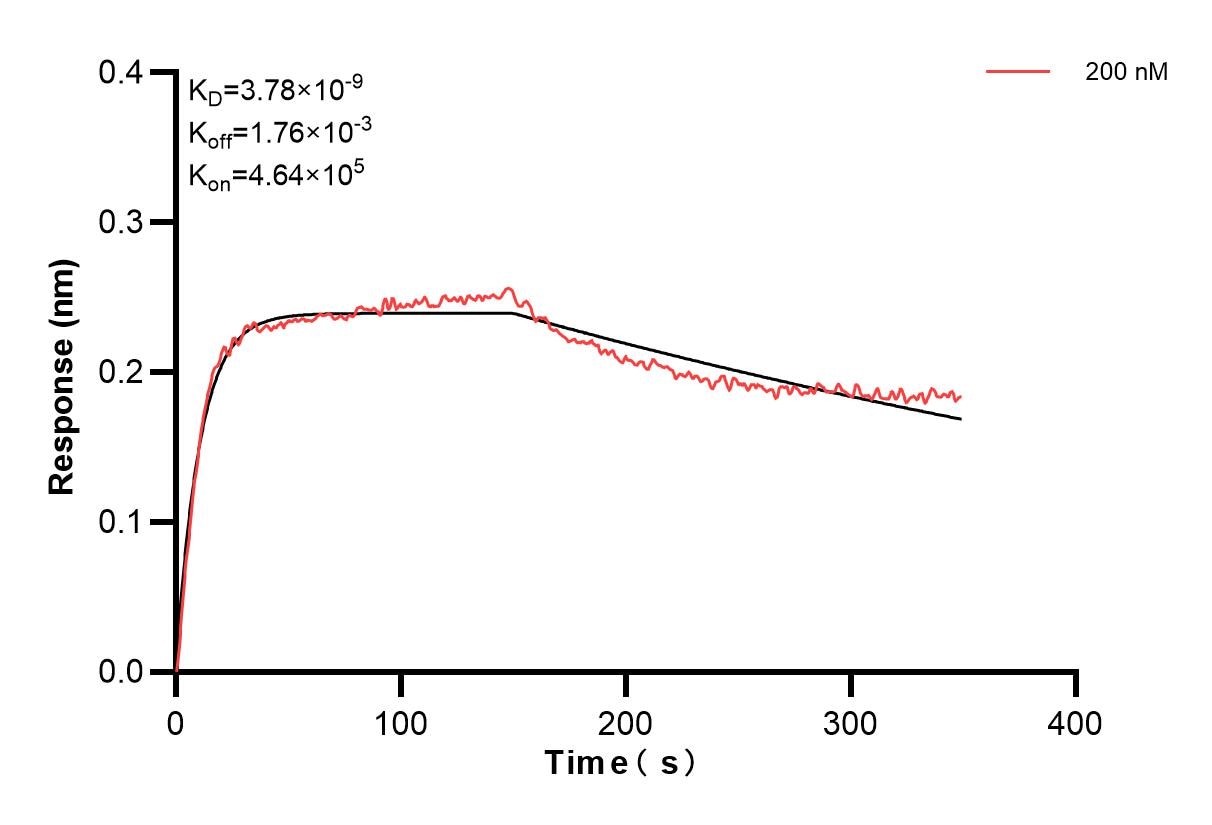 Affinity and Kinetic Characterization of 83642-3-PBS