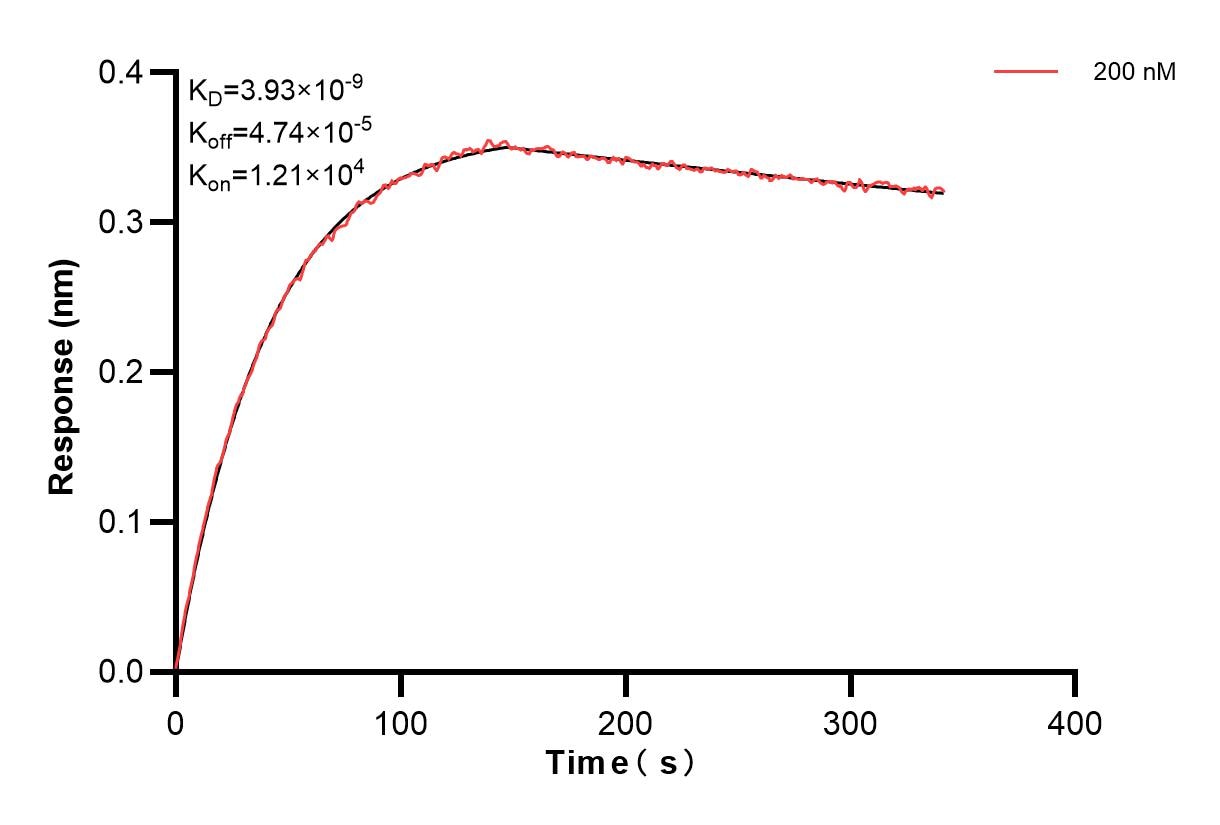 Biolayer interferometry (BLl) kinetic assay of 83644-3-PBS against Mouse IL-1 alpha was performed. The affinity constant is 3.93 nM. Affinity of 83644-3-PBS