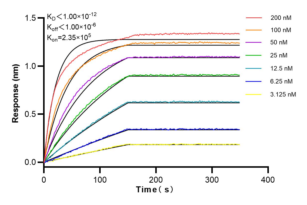 Affinity and Kinetic Characterization of 83646-6-RR