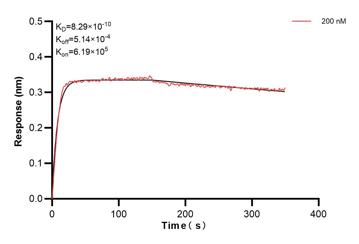 Affinity and Kinetic Characterization of 83655-2-PBS
