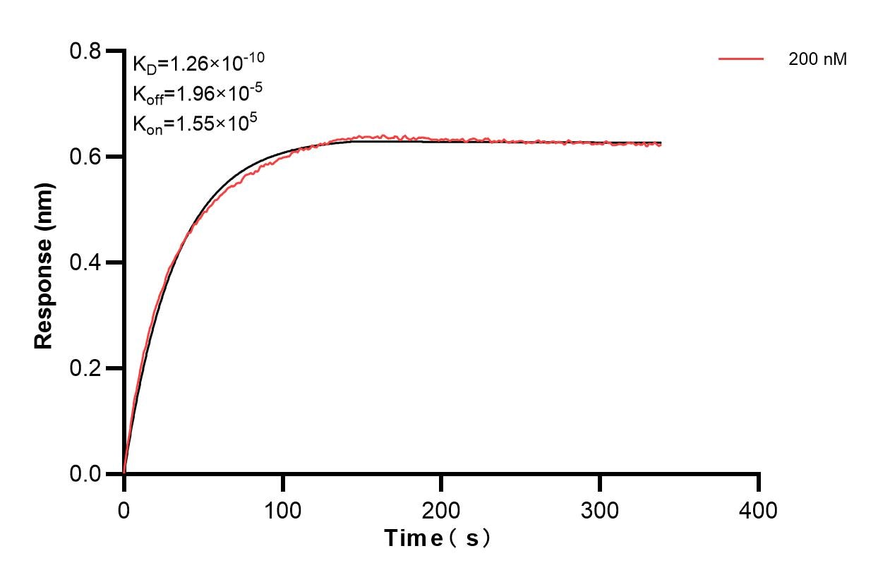 Affinity and Kinetic Characterization of 83658-1-PBS