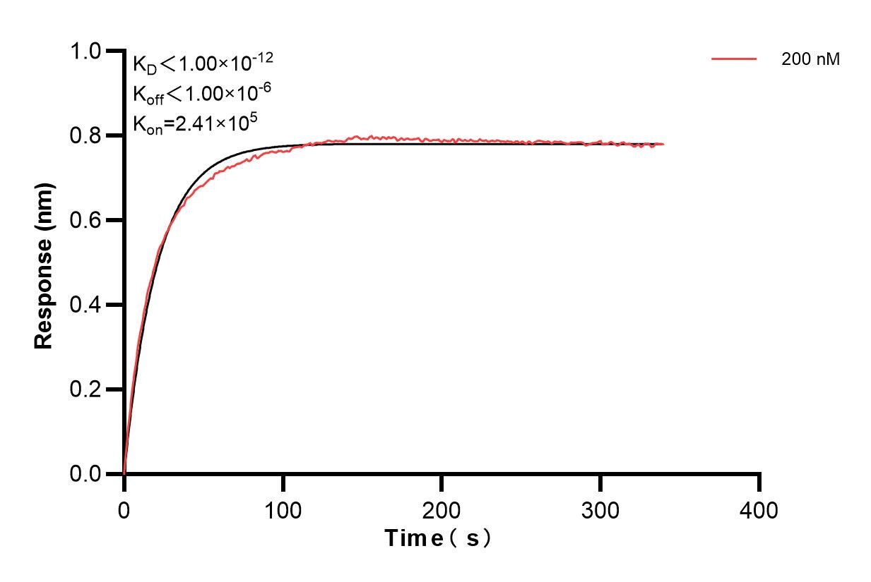 Affinity and Kinetic Characterization of 83658-4-PBS