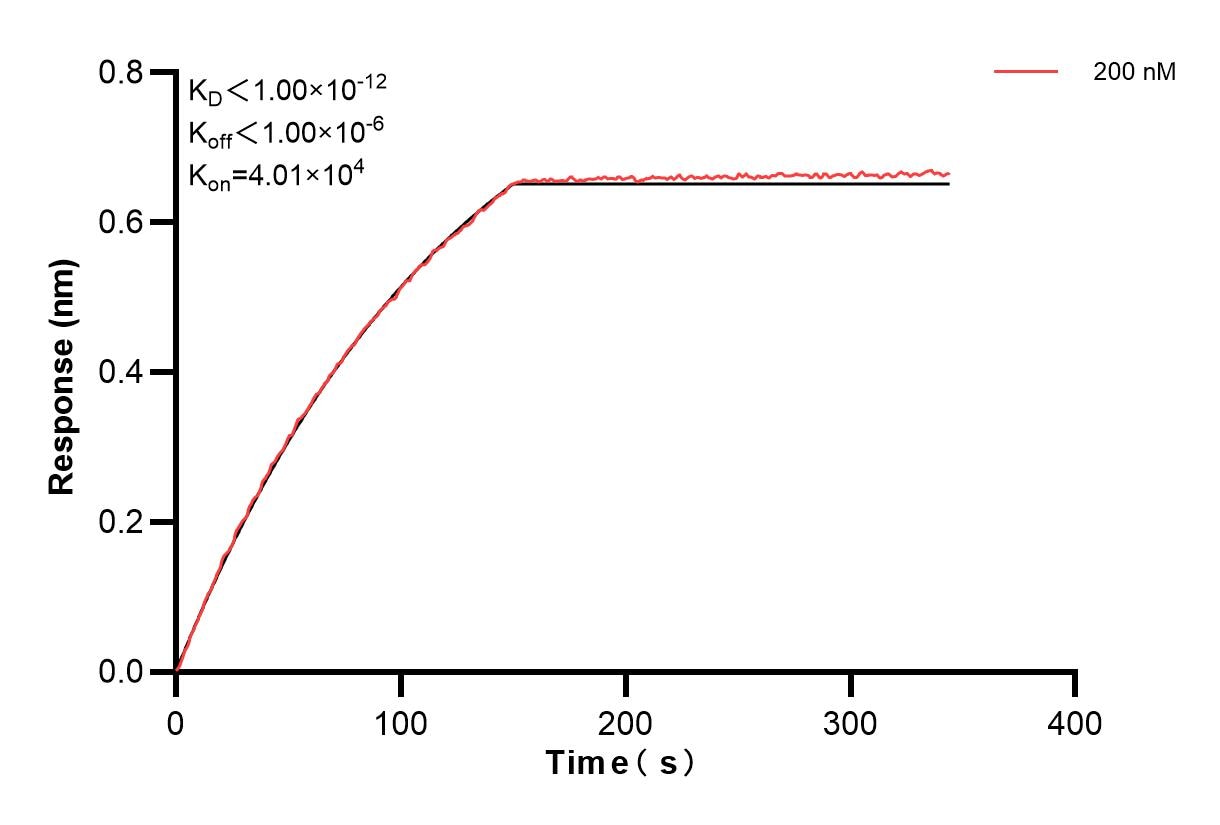 Affinity and Kinetic Characterization of 83659-3-PBS