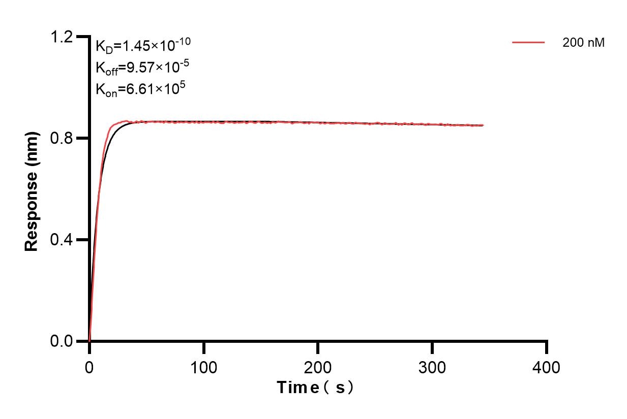 Affinity and Kinetic Characterization of 83662-2-PBS