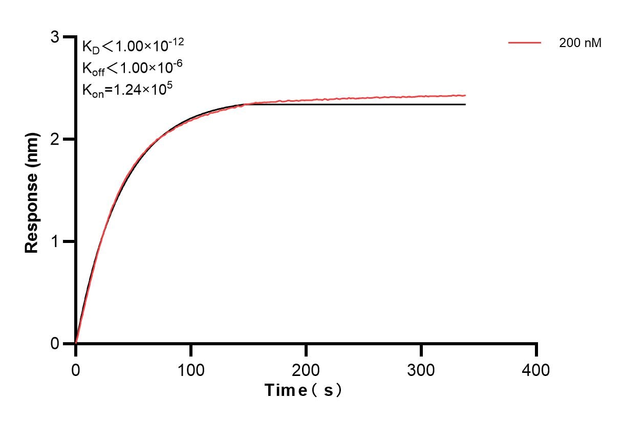 Affinity and Kinetic Characterization of 83662-3-PBS