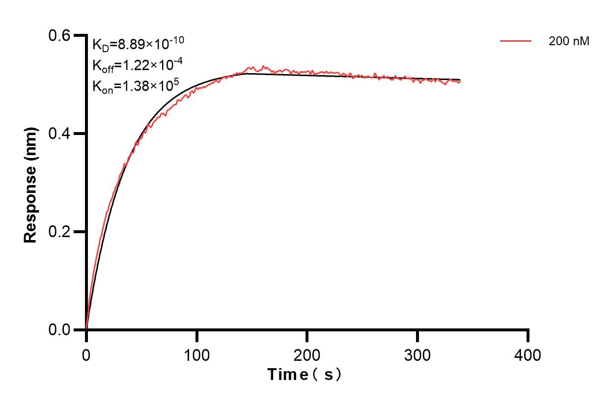 Affinity and Kinetic Characterization of 83662-4-PBS