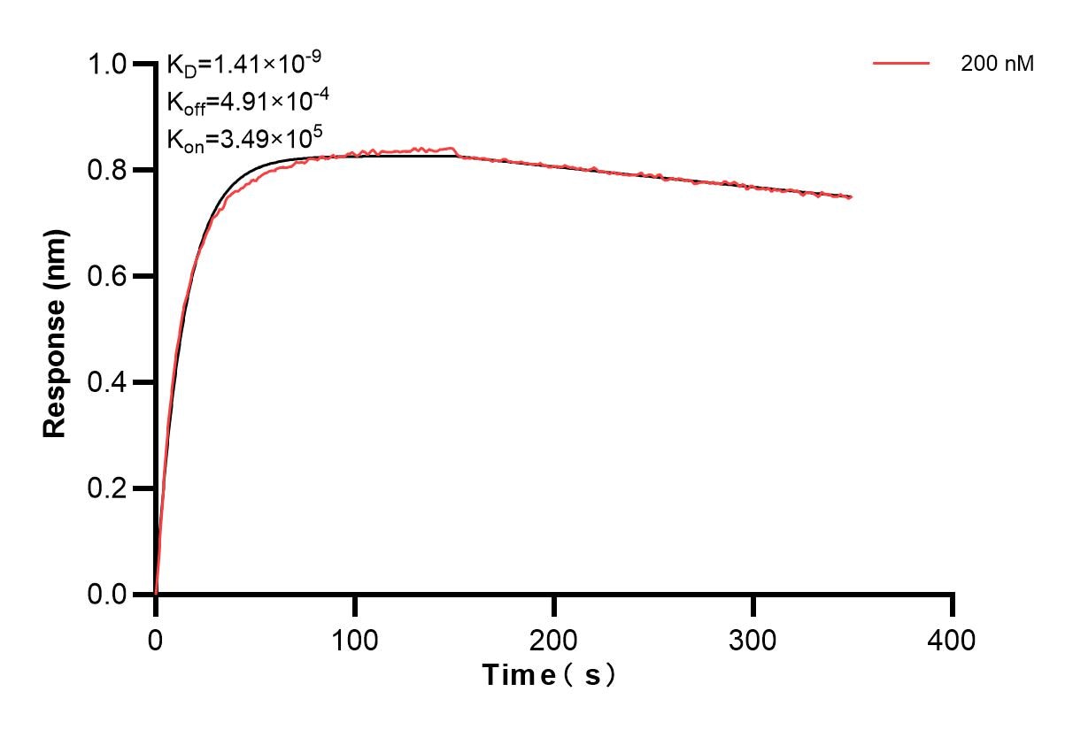 Affinity and Kinetic Characterization of 83662-6-PBS