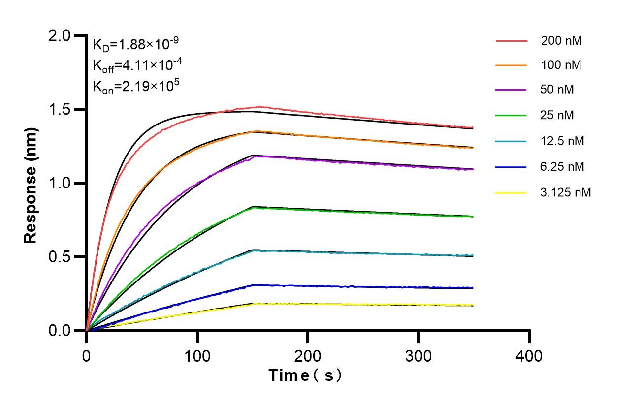 Affinity and Kinetic Characterization of 83662-6-PBS