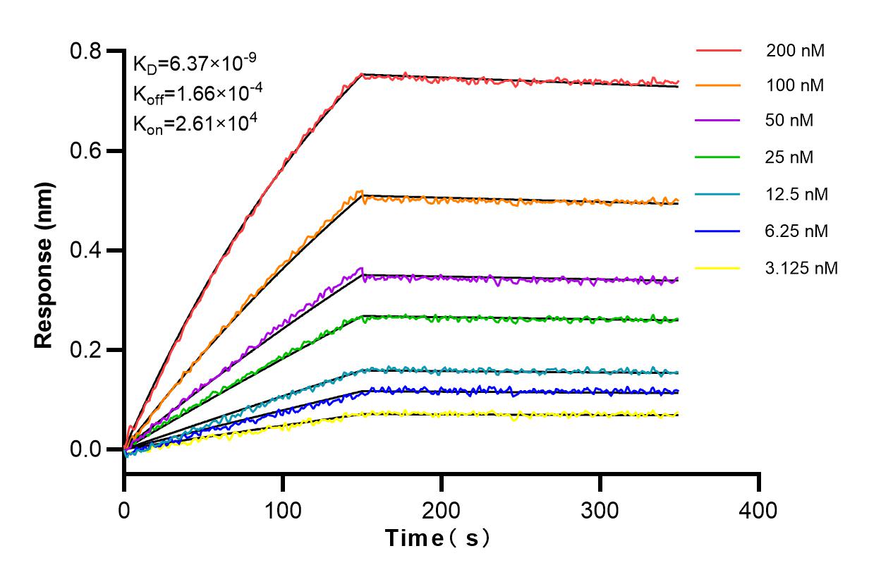 Affinity and Kinetic Characterization of 83664-2-RR