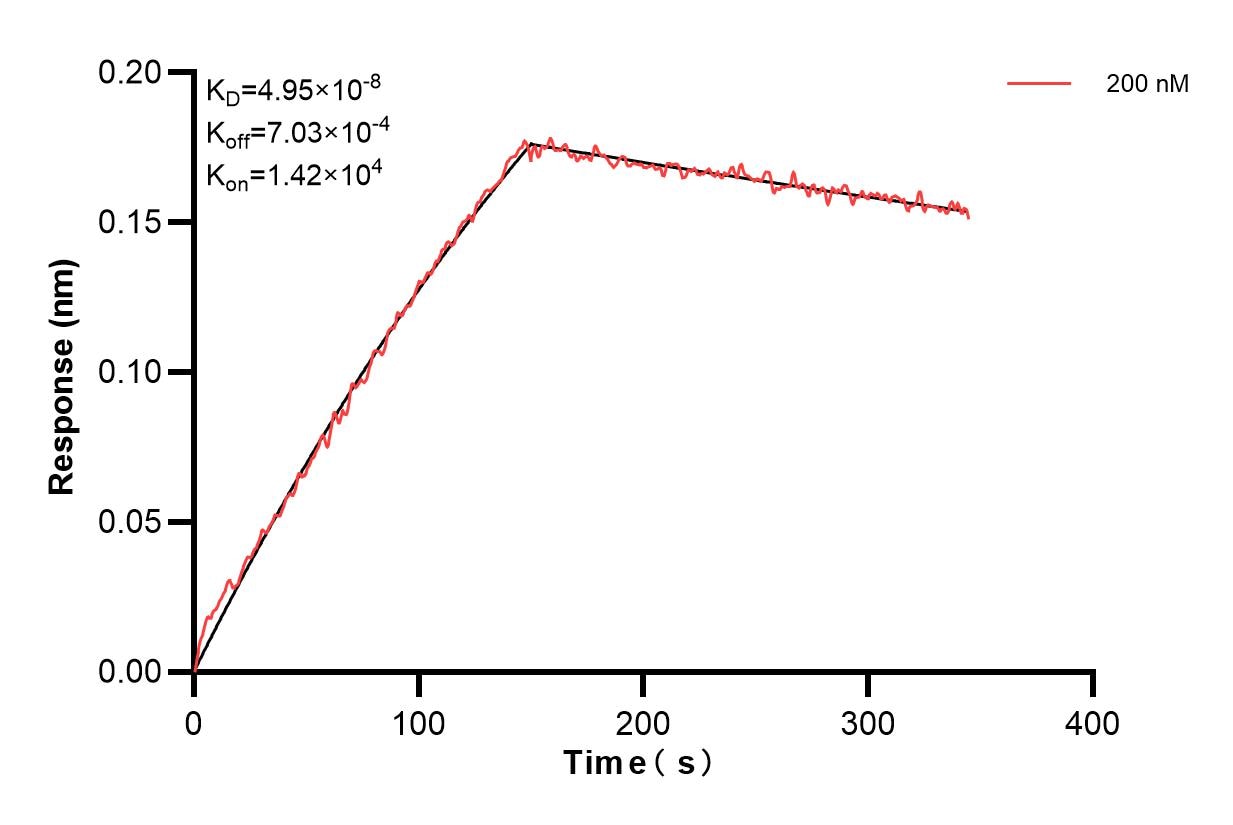 Biolayer interferometry (BLl) kinetic assay of 83664-4-PBS against Human FTCD were performed. The affinity constant is 49.5 nM. Affinity of 83664-4-PBS