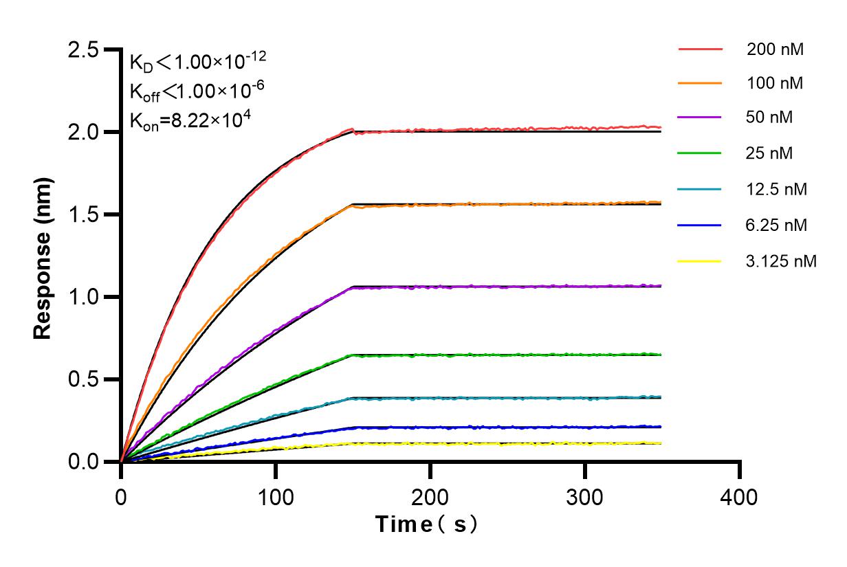Affinity and Kinetic Characterization of 83670-1-RR
