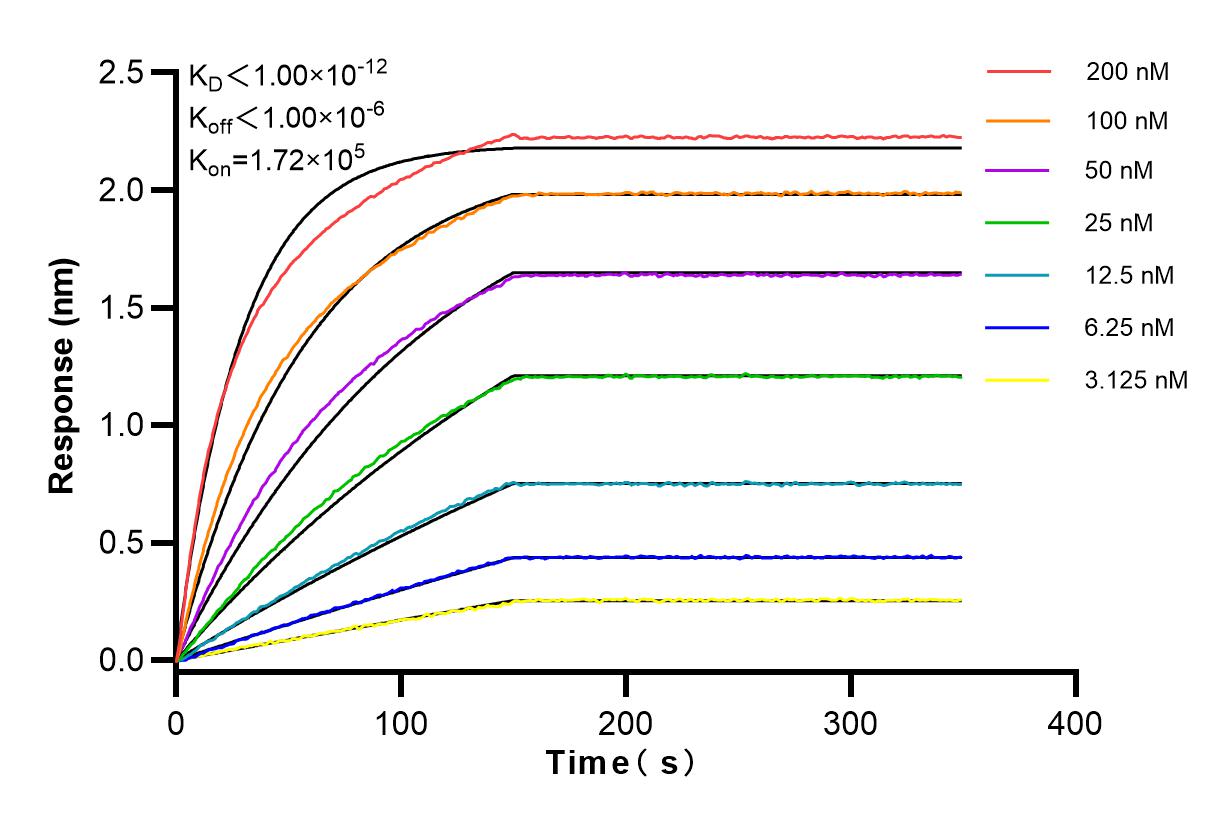 Affinity and Kinetic Characterization of 83674-1-RR