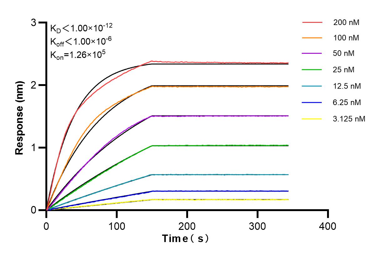 Affinity and Kinetic Characterization of 83683-8-RR