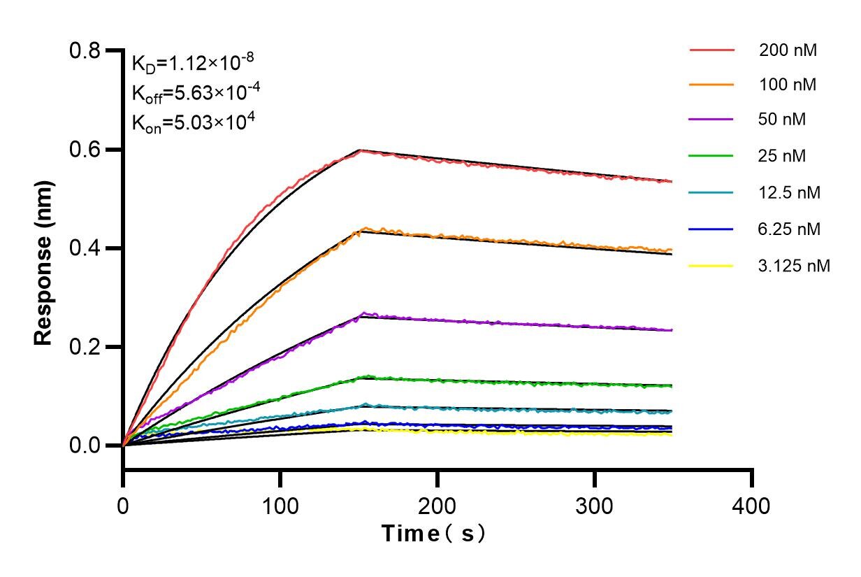 Affinity and Kinetic Characterization of 83684-7-RR