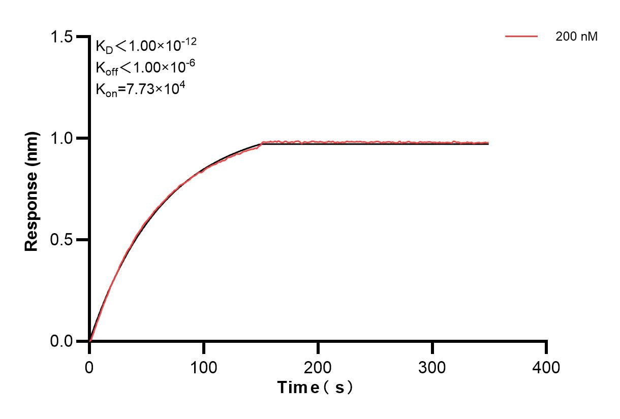 Affinity and Kinetic Characterization of 83685-1-PBS