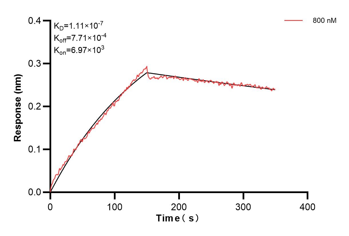 Biolayer interferometry (BLl) kinetic assays of 83686-3-PBS against Human TBK1 were performed. The affinity constant is 111 nM. Affinity and Kinetic Characterization of 83686-3-PBS