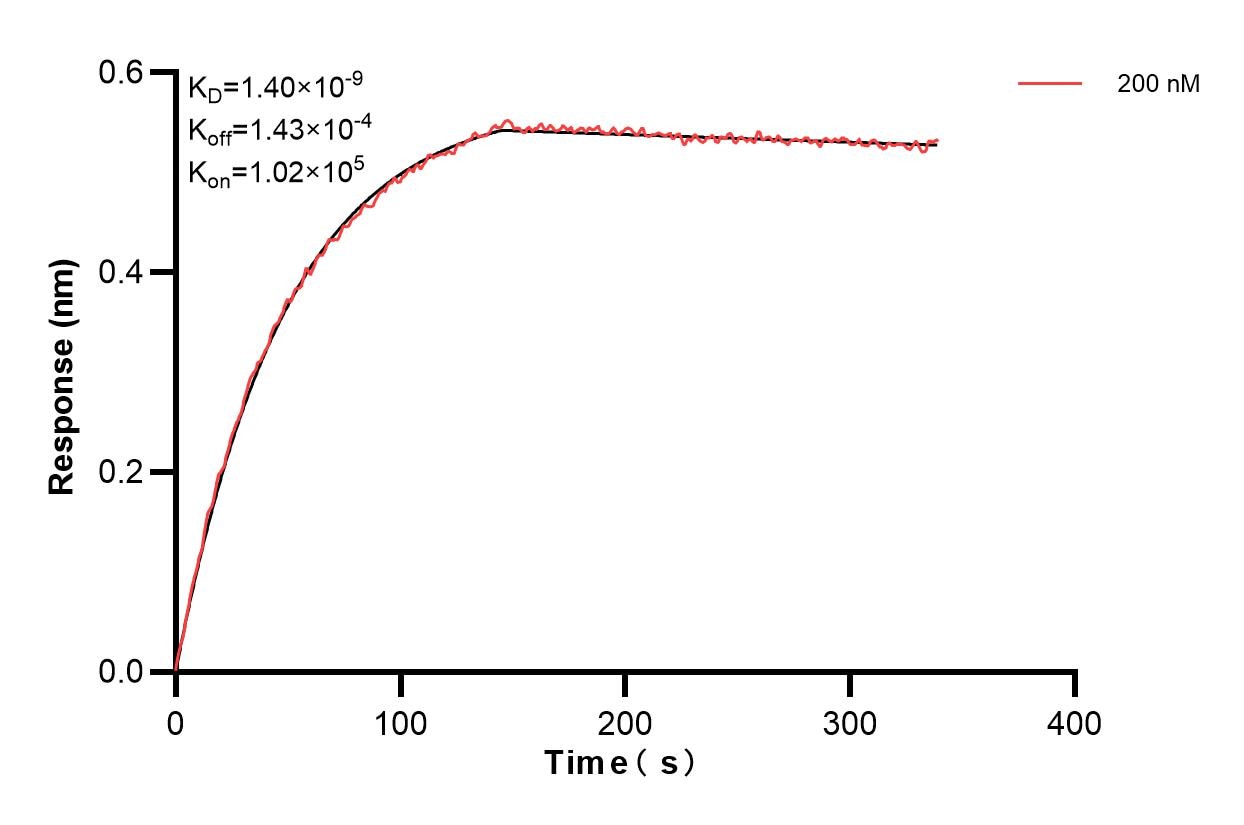 Affinity and Kinetic Characterization of 83687-2-PBS