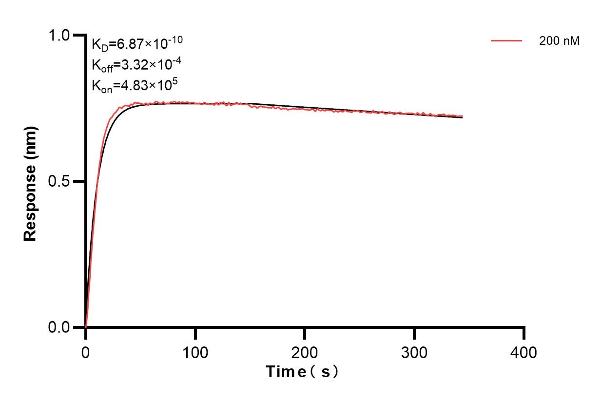 Biolayer interferometry (BLl) kinetic assays of 83688-1-PBS against Human CD126/IL-6R alpha were performed. The affinity constant is 0.687 nM. Affinity and Kinetic Characterization of 83688-1-PBS