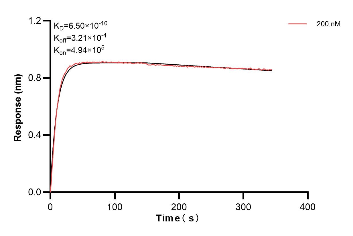Biolayer interferometry (BLl) kinetic assays of 83688-2-PBS against Human CD126/IL-6R alpha were performed. The affinity constant is 0.650 nM. Affinity and Kinetic Characterization of 83688-2-PBS