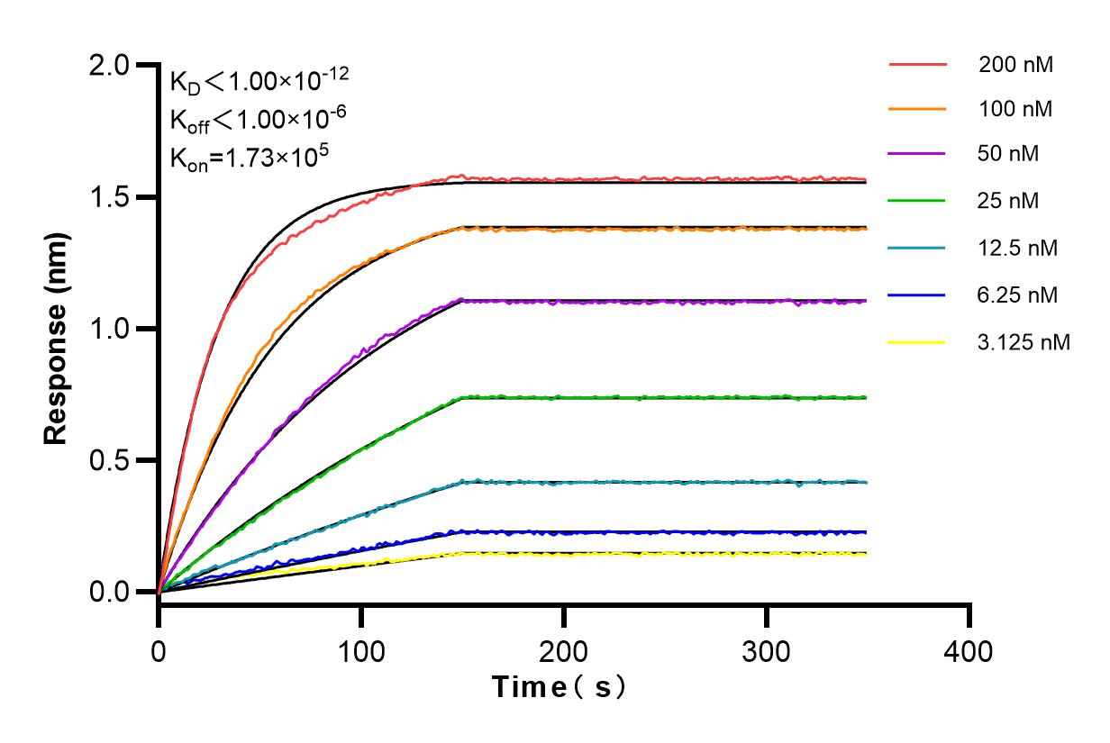Affinity and Kinetic Characterization of 83694-4-RR