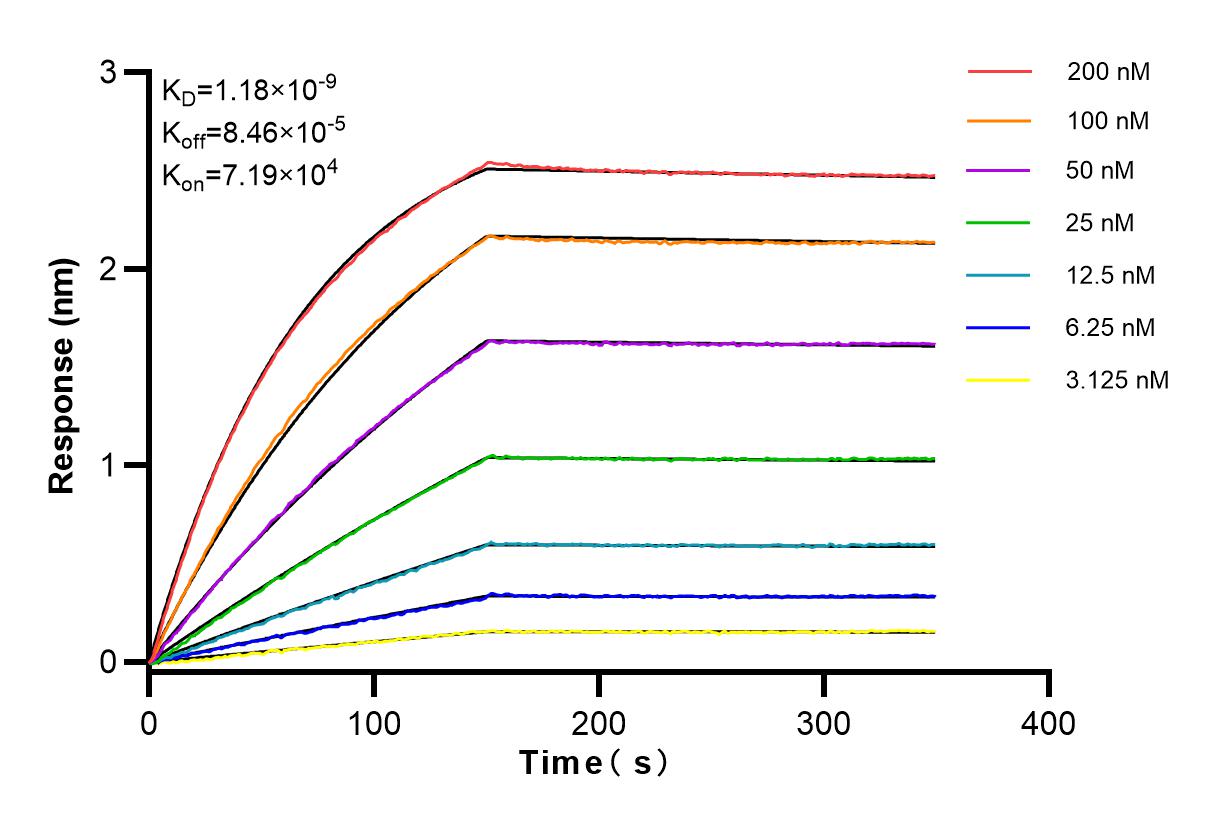 Affinity and Kinetic Characterization of 83699-2-RR