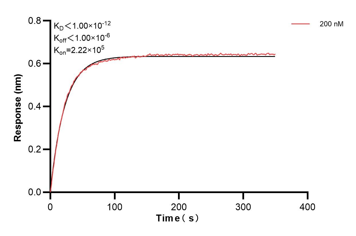 Biolayer interferometry (BLl) kinetic assays of 83700-4-PBS against Human TNFSF15 were performed. The affinity constant is below 1 pM. Affinity and Kinetic Characterization of 83700-4-PBS