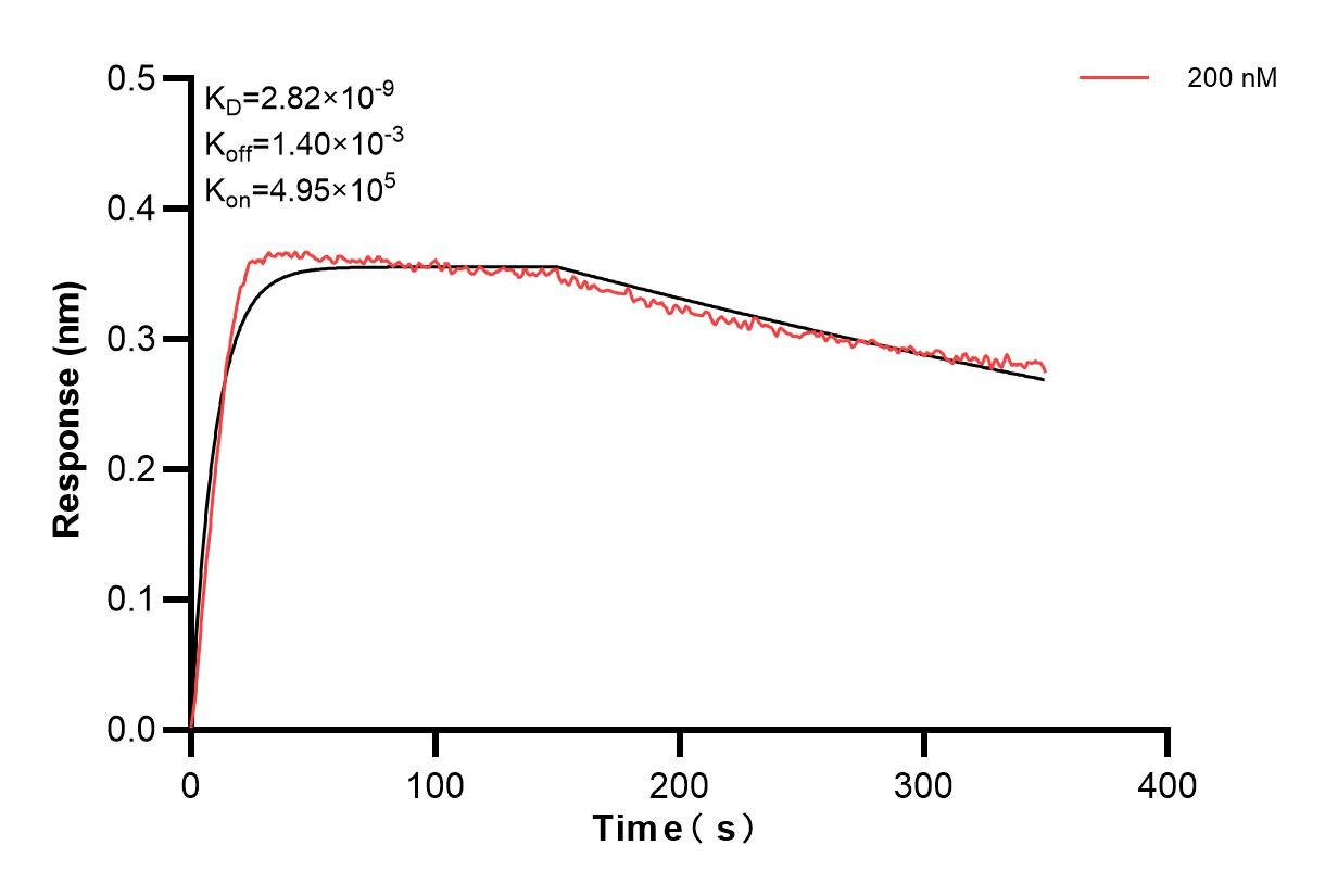 Affinity and Kinetic Characterization of 83706-4-PBS